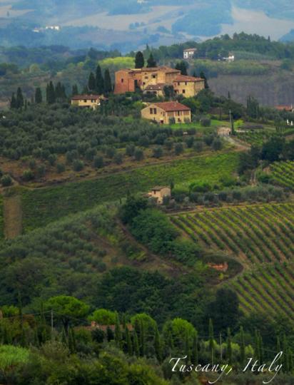 Tuscany Vineyard 2