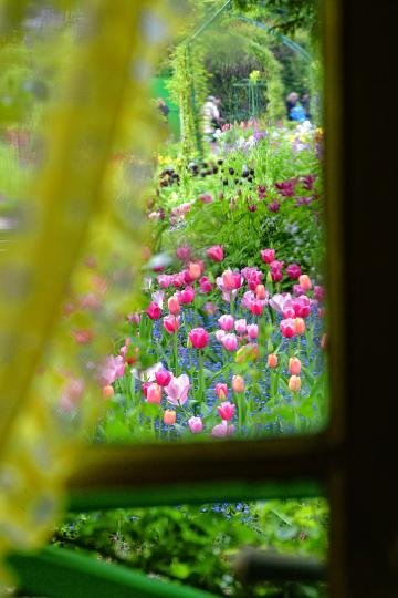 Monet's Garden, France